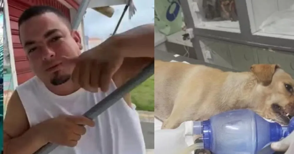 Troca de tiros em bairro de Salvador deixa dois homens e um cachorro mortos