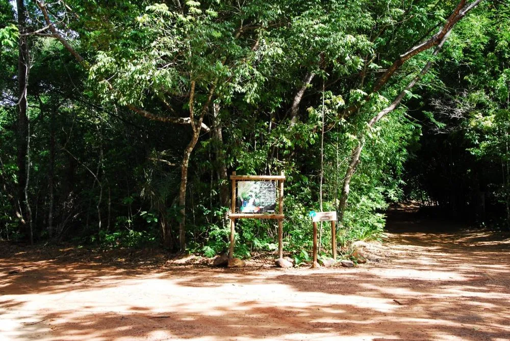 Jovem de 20 anos é baleada no litoral matense; vítima relata tentativa de assalto
