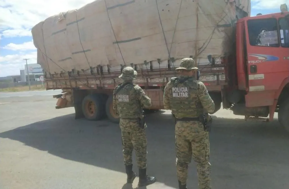 Polícia apreende caminhão carregado com 20 toneladas de angico ilegal