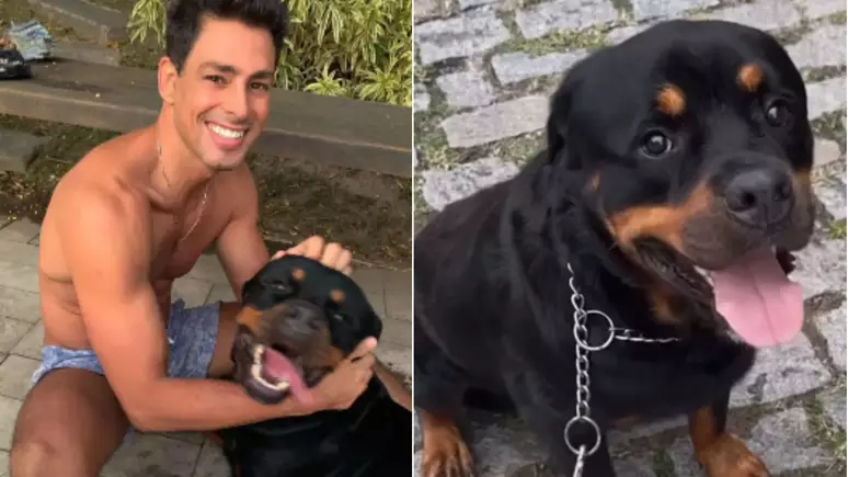 Cão de Cauã Reymond morre após envenenamento: ‘nunca pensei que seria tão triste’