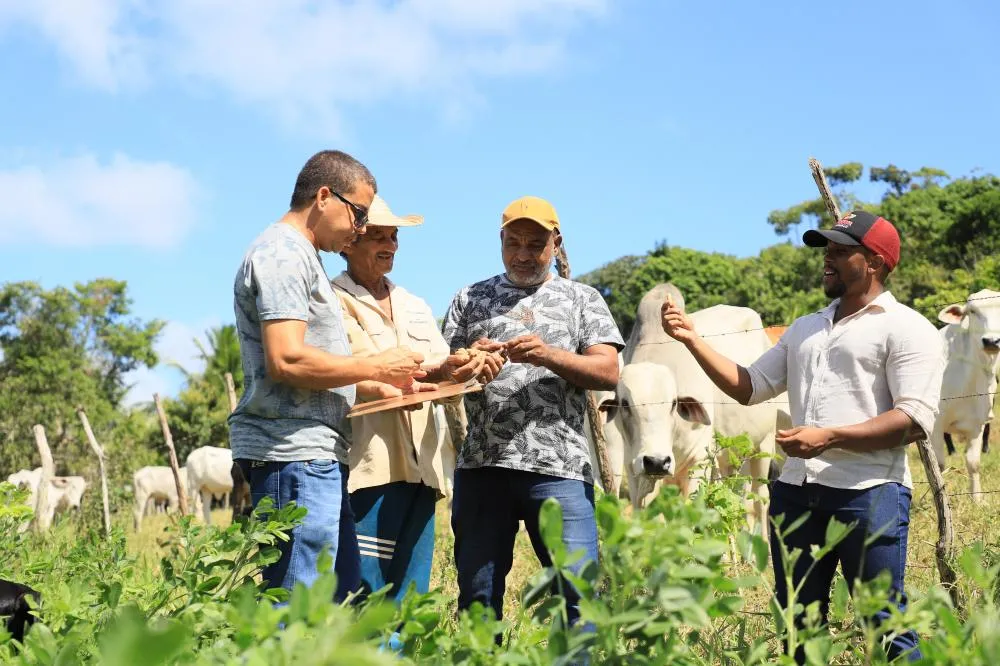 Salvação da Lavoura: agricultores de Mata de São João recebem visita técnica 