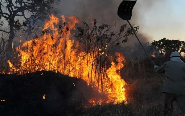 Quase 1/4 do território brasileiro pegou fogo nos últimos 40 anos