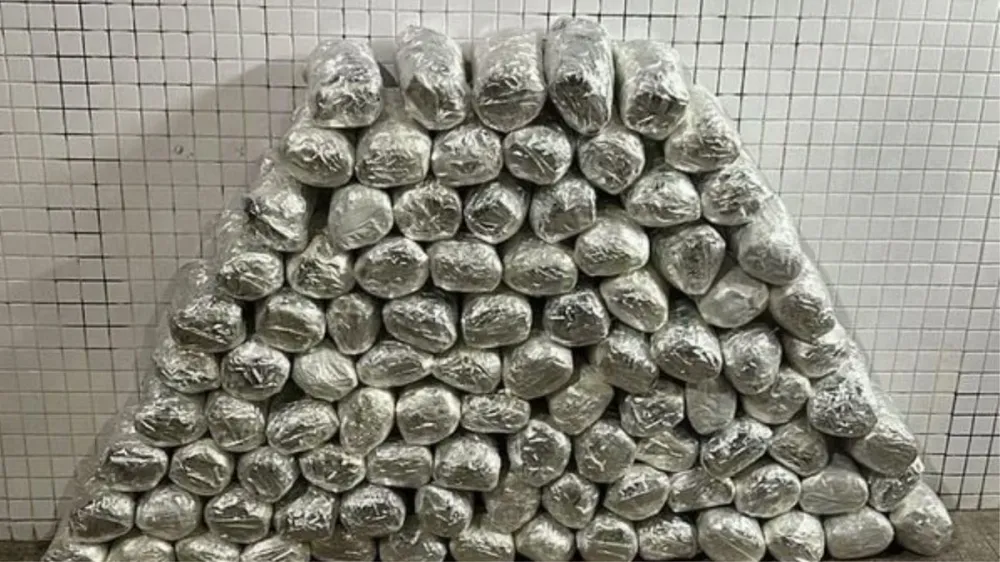 Bahia tem quase 1 tonelada de maconha apreendida no ano
