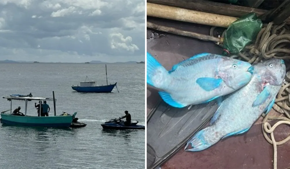 Dois homens são detidos por pesca ilegal de peixes em extinção na praia da Barra