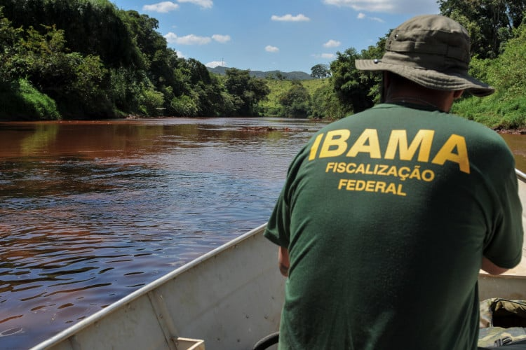 Concurso do Ibama com 260 vagas e salário de R$ 8,8 mil é autorizado; confira