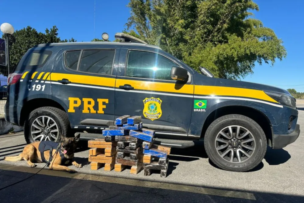 Mulher é presa com mais de 65 kg de maconha no sudoeste da Bahia