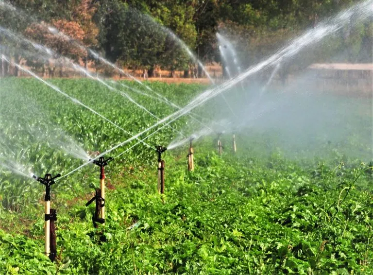 Coelba convoca cerca de 3 mil clientes irrigantes e aquicultores para atualização cadastral