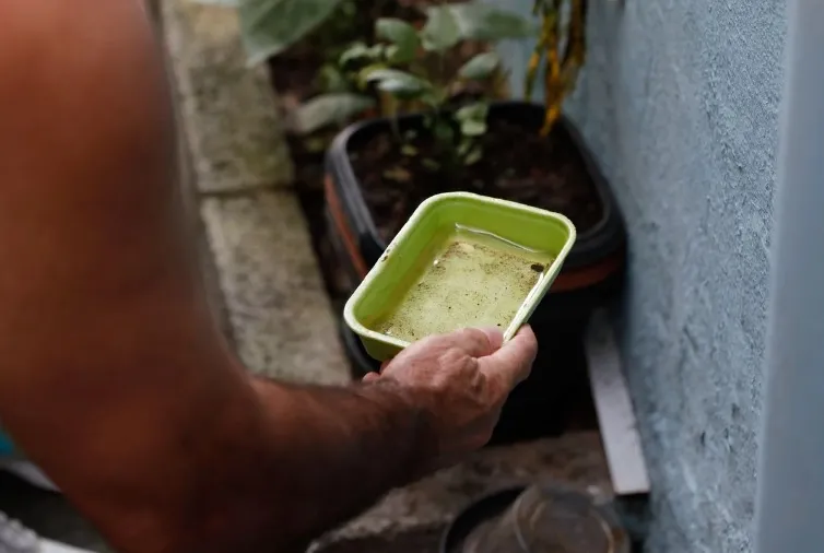 Brasil se aproxima de 5 mil mortes por dengue em 2024