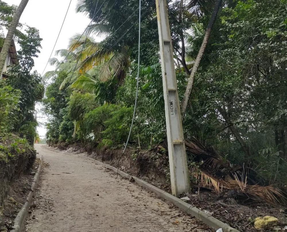 Moradores do Diogo em Mata de São João reclamam de fios de alta tensão caídos em via pública