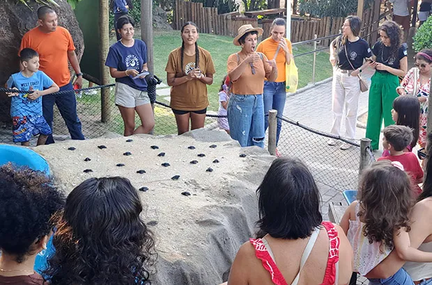 Projeto Tamar divulga programação da 18º Primavera nos Museus em Praia do Forte