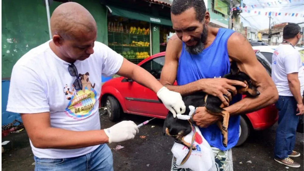 Ministério da Saúde emite alerta nacional após caso de raiva humana
