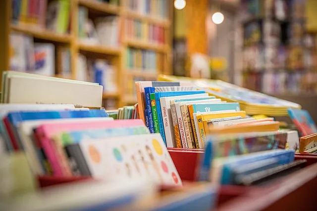 Dias d’Ávila ganha biblioteca do projeto Mundoteca com acervo de mais de 650 livros