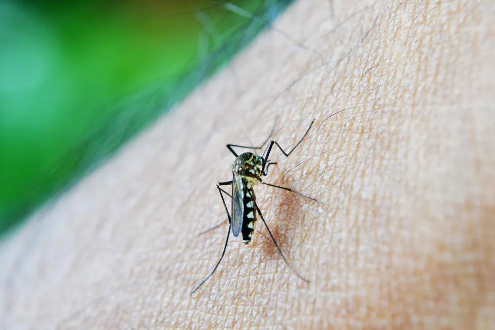 Dia D contra dengue promove ações de conscientização em todo o Brasil