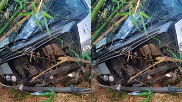 Dezenove pessoas ficam feridas após ônibus cair em ribanceira na BA-099