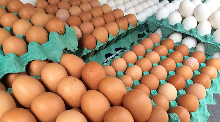 Ovos vendidos no Brasil vão ter carimbo de prazo de validade a partir de março 