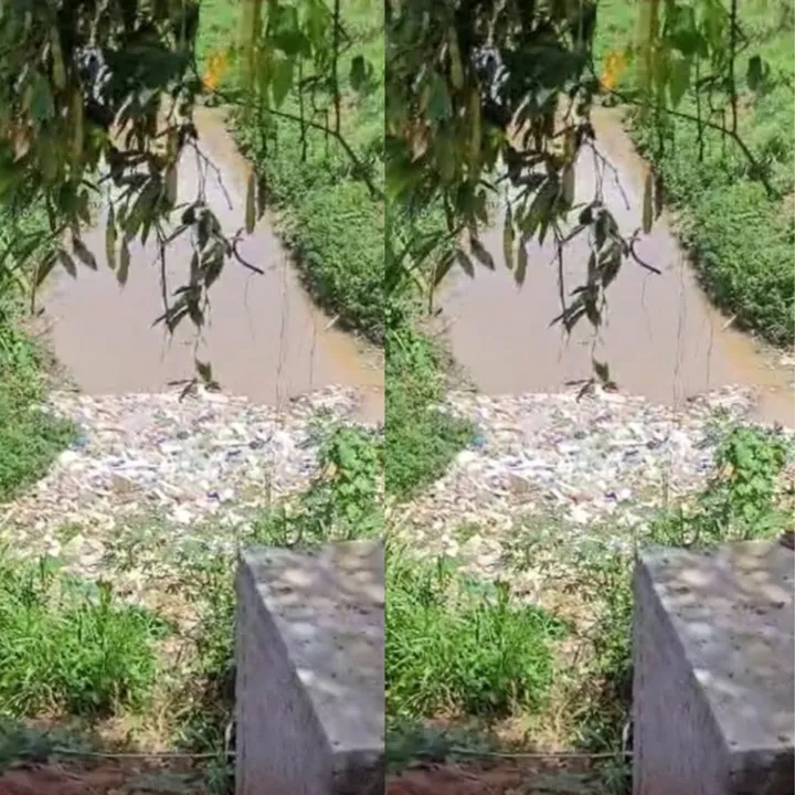 Catador de recicláveis desaparece em córrego