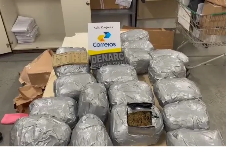 Drogas avaliadas em R$ 100 mil foram apreendidas no Centro de Distribuição dos Correios
