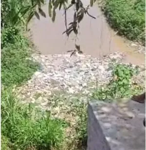 Corpo de catador arrastado por cobra é encontrado em córrego de Salvador