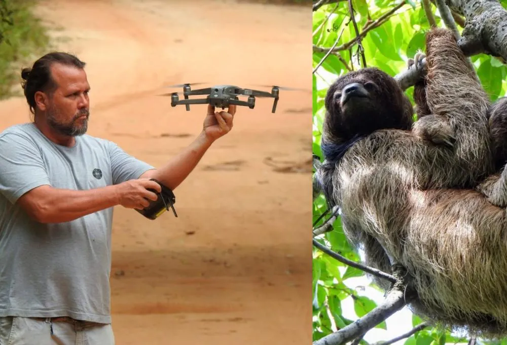 Projeto realiza voos de drone para estudo da preguiça-de-coleira no litoral matense 