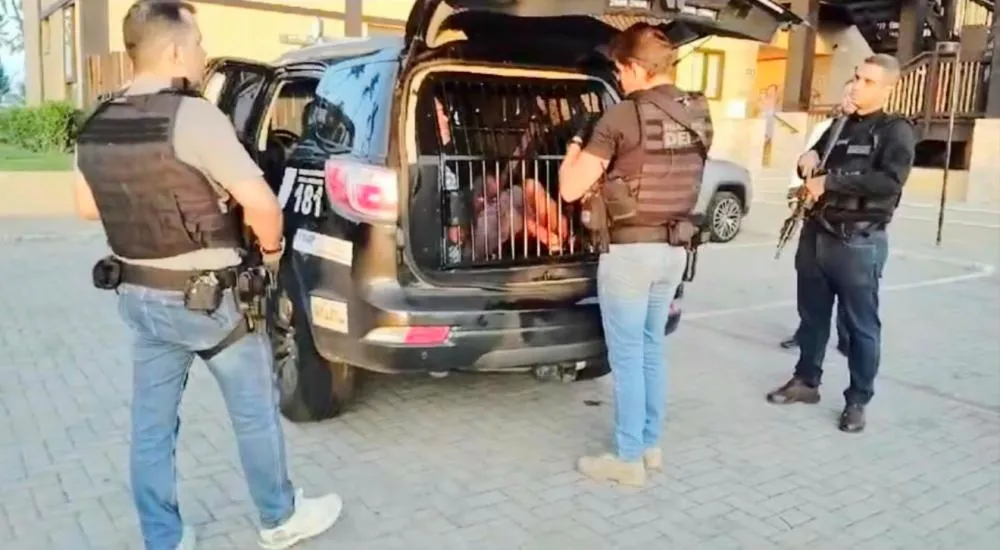 Polícia prende líder do jogo do bicho escondido em resort na Praia do Forte