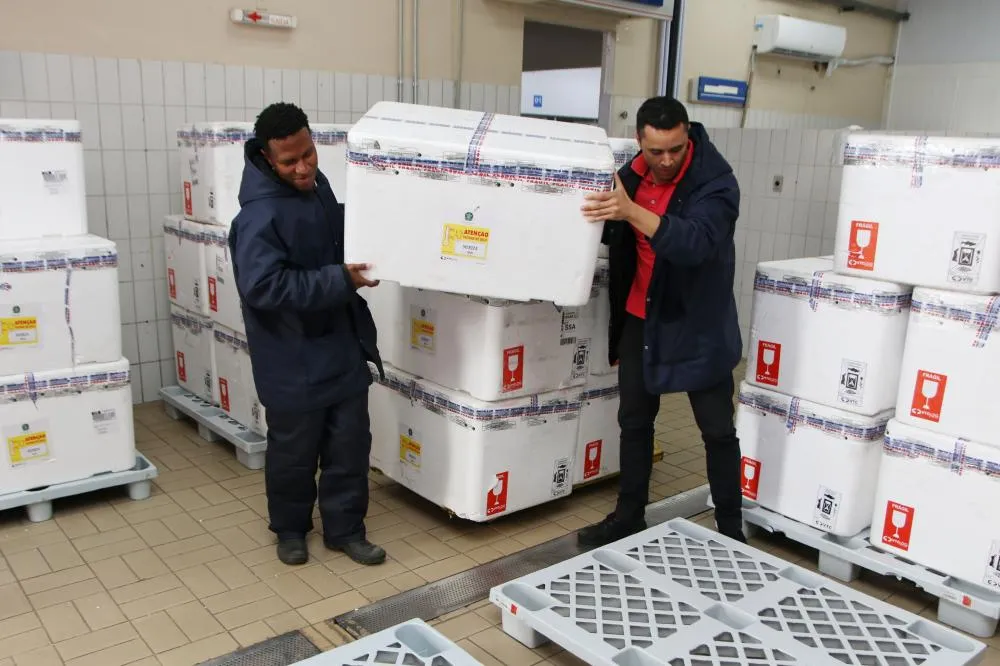 Bahia recebe 428 mil doses da vacina contra a gripe e inicia distribuição segunda-feira (24)