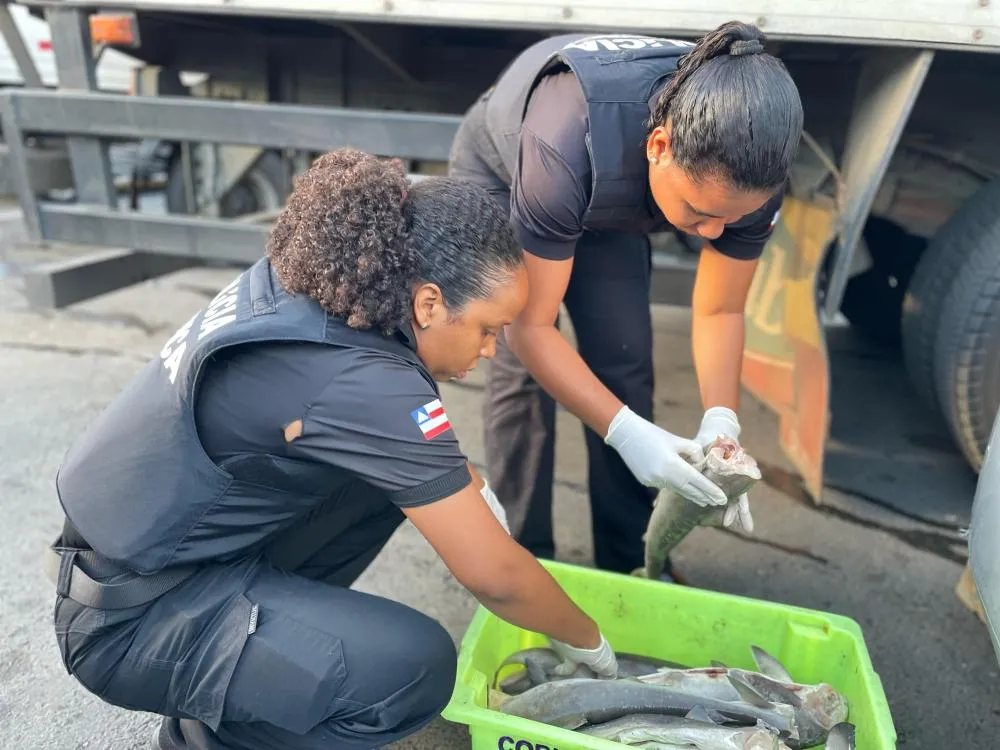 Polícia Civil apreende pescados impróprios, armas de fogo e máquinas caça-níqueis durante operação em feiras de Salvador