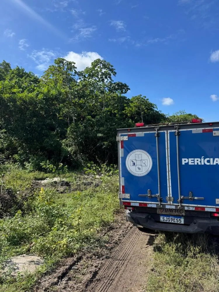 Crânios humanos são encontrados dentro de mochila em área de mata em Dias d’Ávila