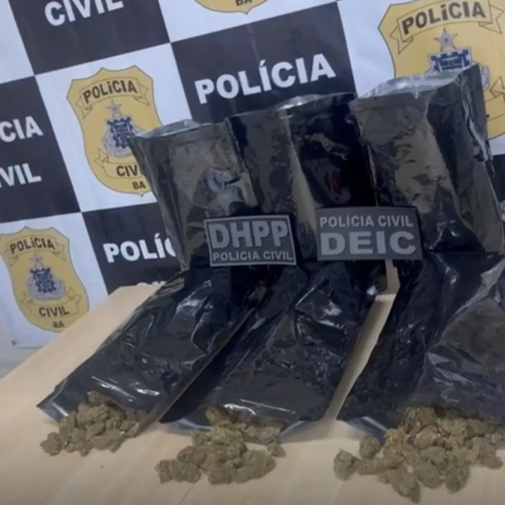 Polícia Civil apreende 6 quilos de maconha em Candeias