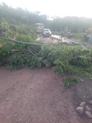 Moradores de Jacuípe de Baixo fecham estrada e cobram infraestrutura e melhorias no transporte público