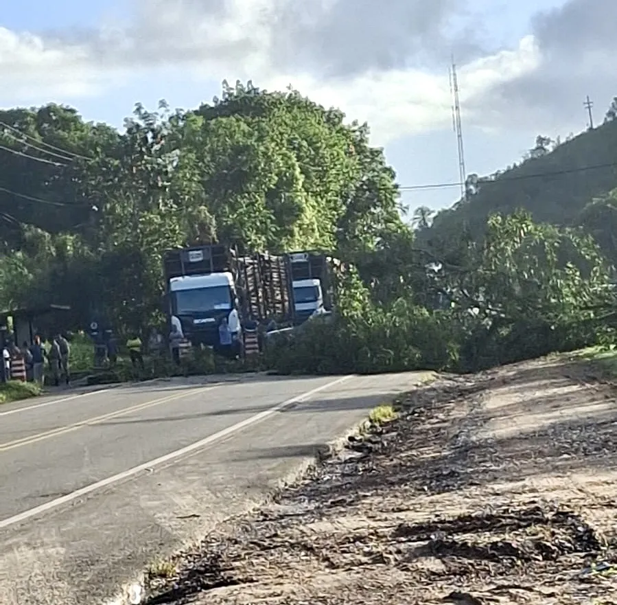 Moradores do Camboatá voltam a fechar BA-093 em protesto, após ausência da Bahia Norte em reuniões 