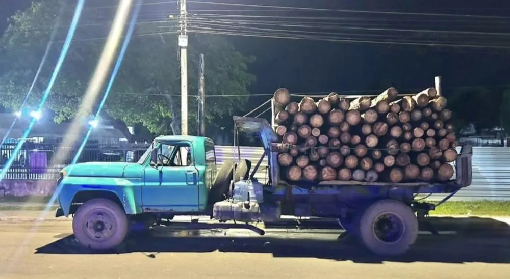 Homem é preso por extração ilegal de madeira em área de proteção ambiental