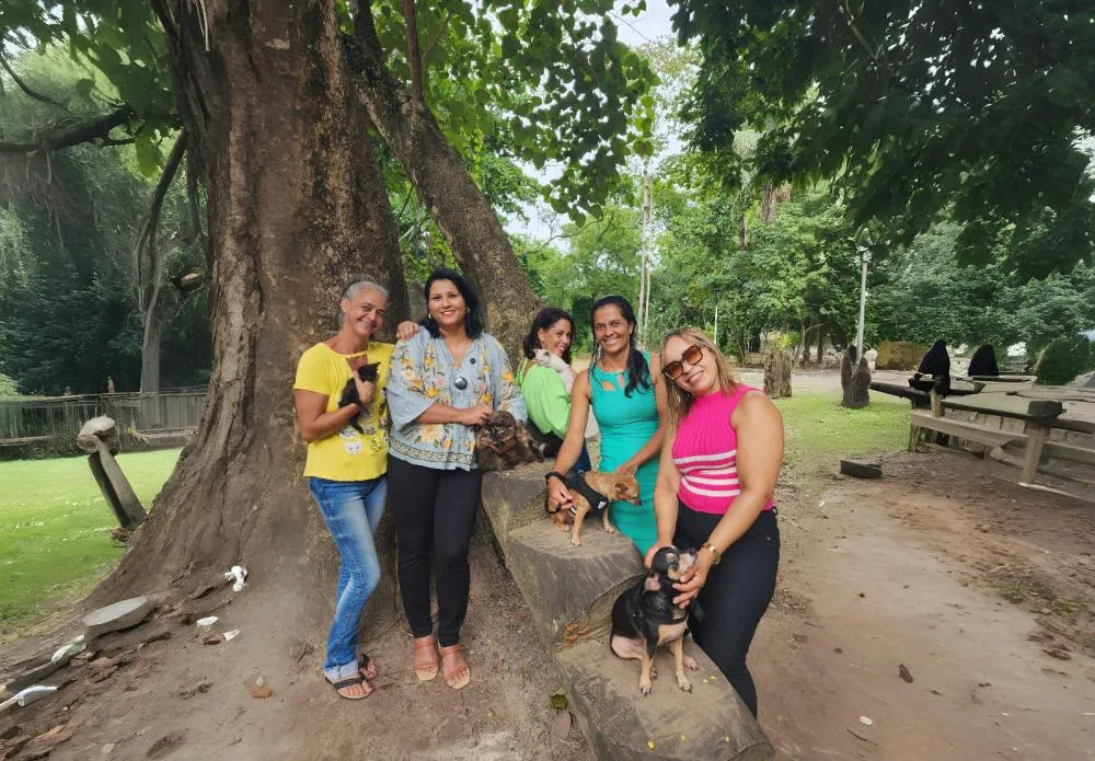 Ações gratuitas para pets integram Semana do Meio Ambiente no Horto Florestal 