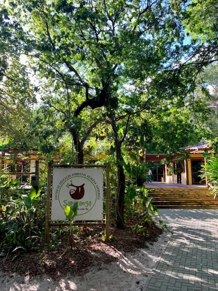 Mata de São João promove Semana do Meio Ambiente com ações educativas na natureza