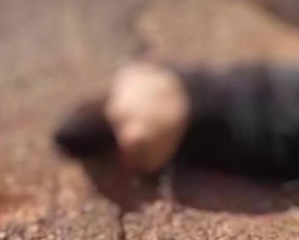 Mulher é encontrada morta com marcas de tiros na Estrada da Cetrel