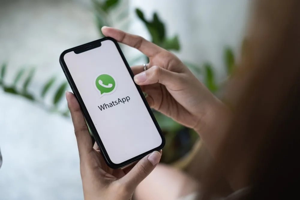 WhatsApp anuncia mudanças: figurinhas animadas, novos filtros e mais