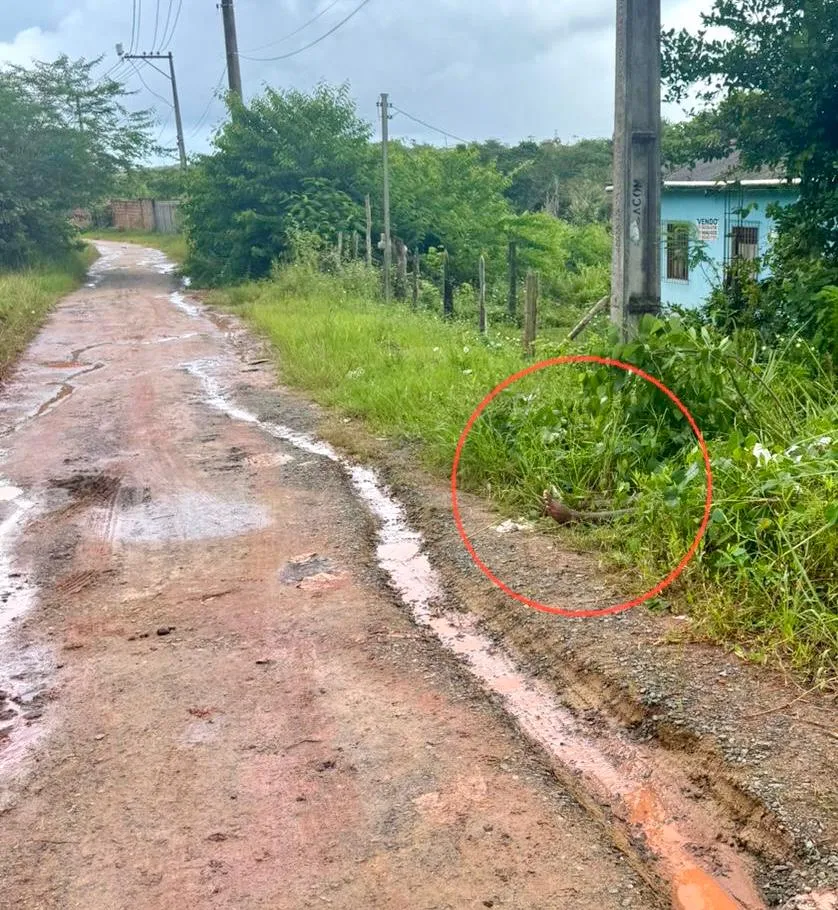 Após ser levado de festa, jovem é executado em via pública no Parque Verde III