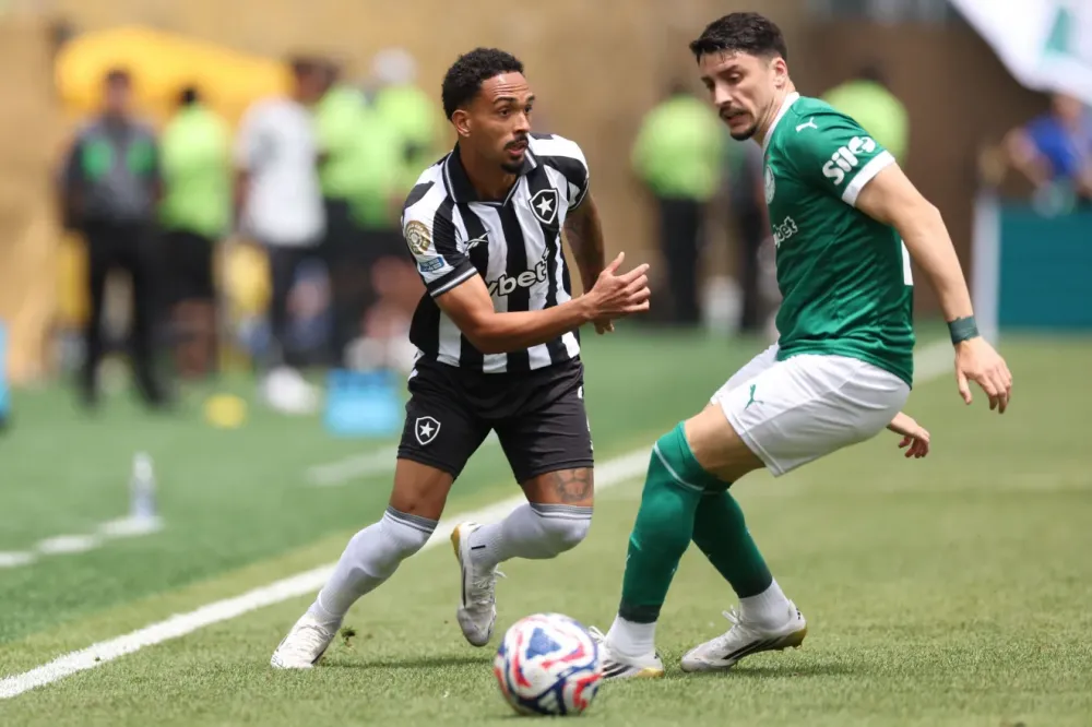 Palmeiras elimina Botafogo e avança na Copa do Mundo de Clubes da Fifa 