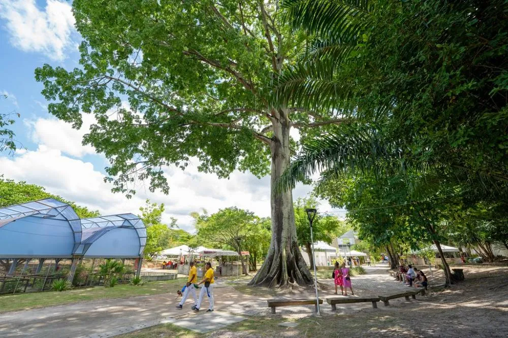 Horto recebe nova edição da Hamburgada do Bem neste sábado (5)