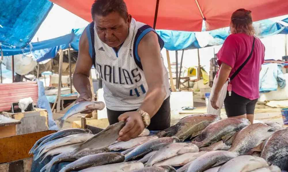 Bahia já sofre com o tarifaço de Trump e o setor de pescados é o mais atingido