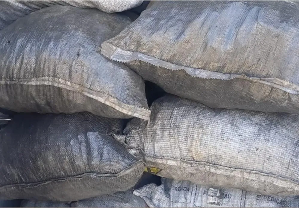 PM apreende carga ilegal de carvão vegetal em Dias d’Ávila