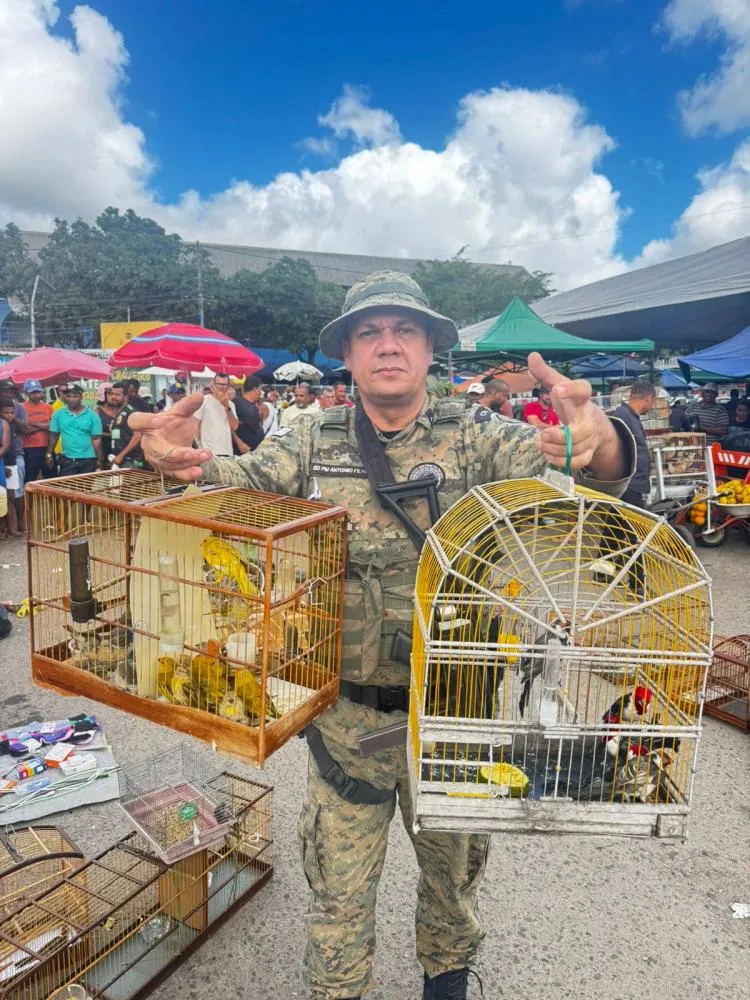 Sete homens são detidos e 48 aves silvestres são resgatadas em Camaçari