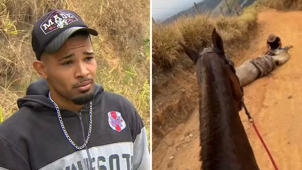 'Não sou um monstro', diz jovem que confessou decepar patas de cavalo
