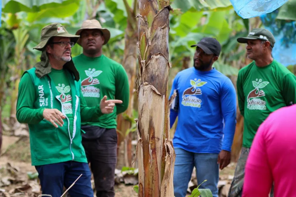 Agricultores de Mata de São João participam de capacitação em bananicultura