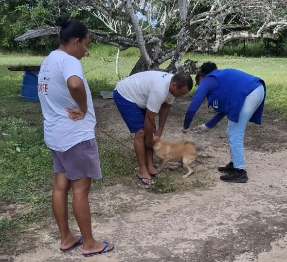 Itanagra promove campanha de vacinação antirrábica para cães e gatos