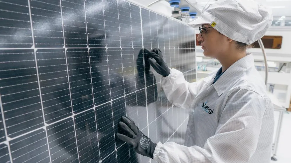 Secretária de Governo revela avanços para atração de indústria de energia solar em Mata de São João