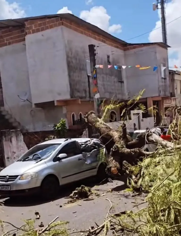 Árvore cai sobre carro e uma mulher fica ferida em Camaçari