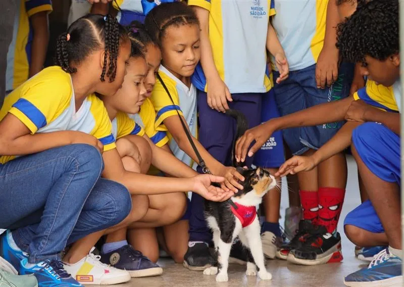 Sedur leva ação de bem-estar e proteção animal para alunos da rede municipal