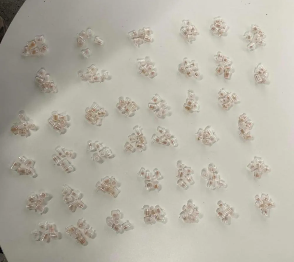 PM prende indivíduos por tráfico de drogas em São Sebastião do Passé