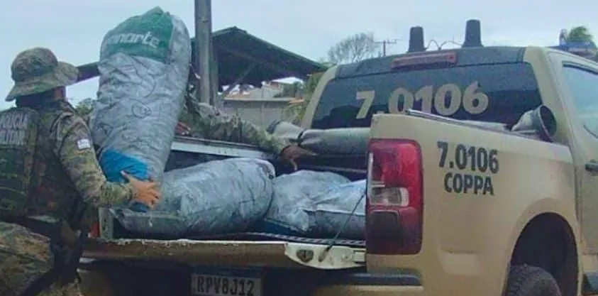 PM apreende cerca de meia tonelada de carvão ilegal em Camaçari
