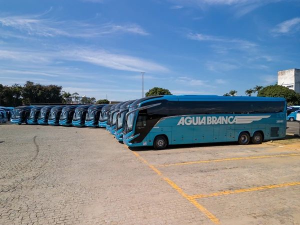 Ônibus tomba na BR-101 e deixa 13 pessoas feridas